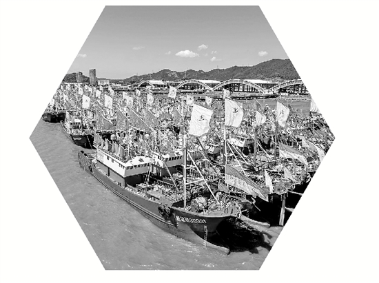 杨昕玮, 极有利于鱼 杨昕玮, 极有利于鱼